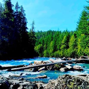 Meet your Posher, Natalie